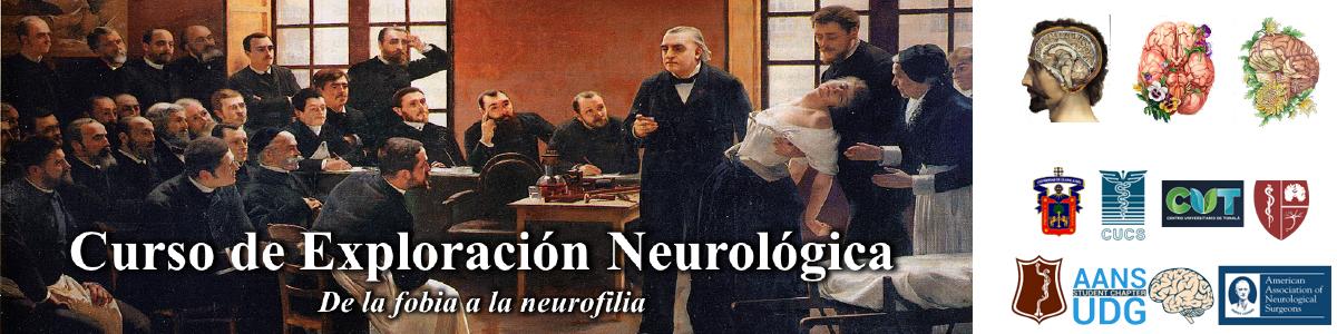 Banner publicitario del curso