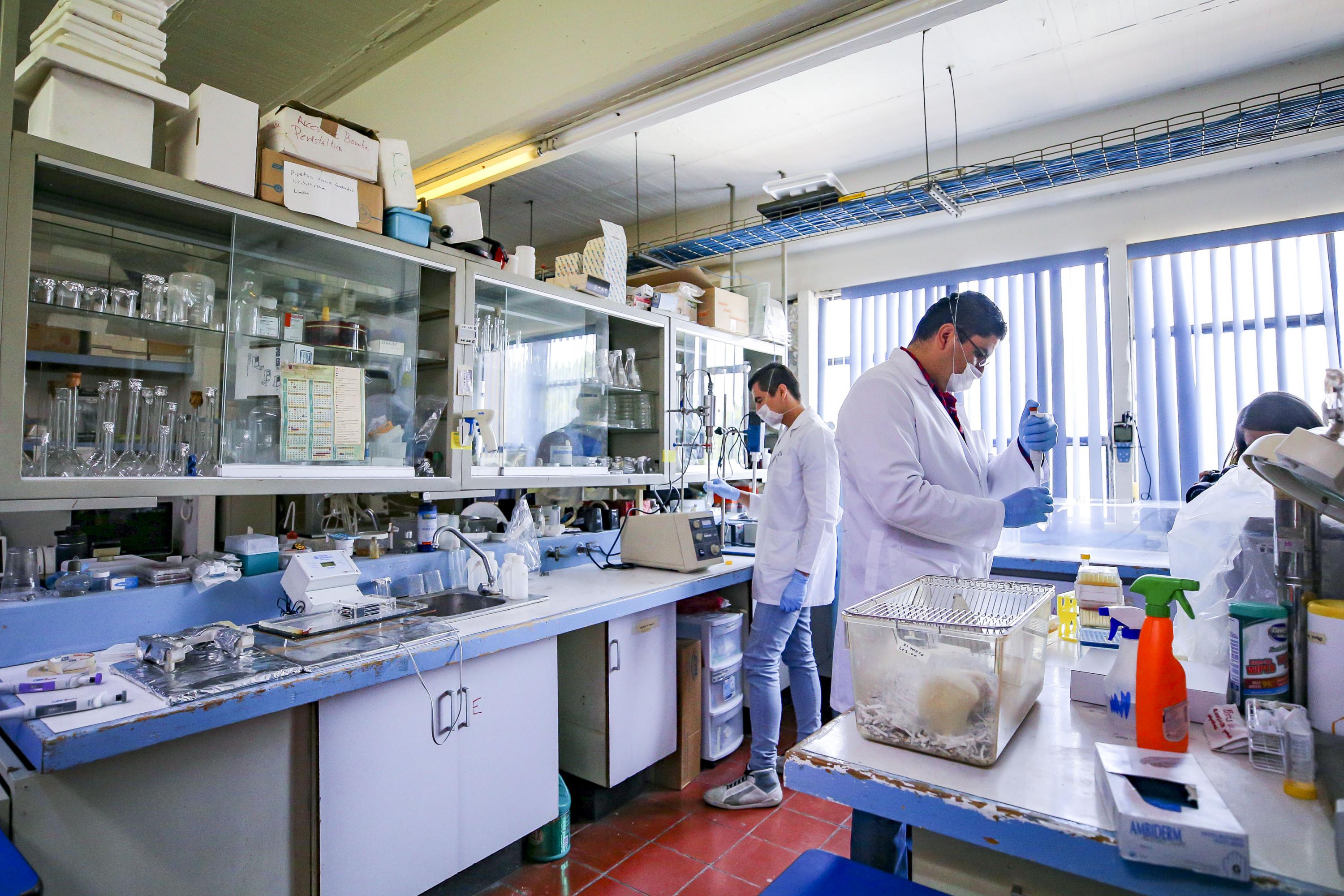 Investigadores trabajando en el Laboratorio