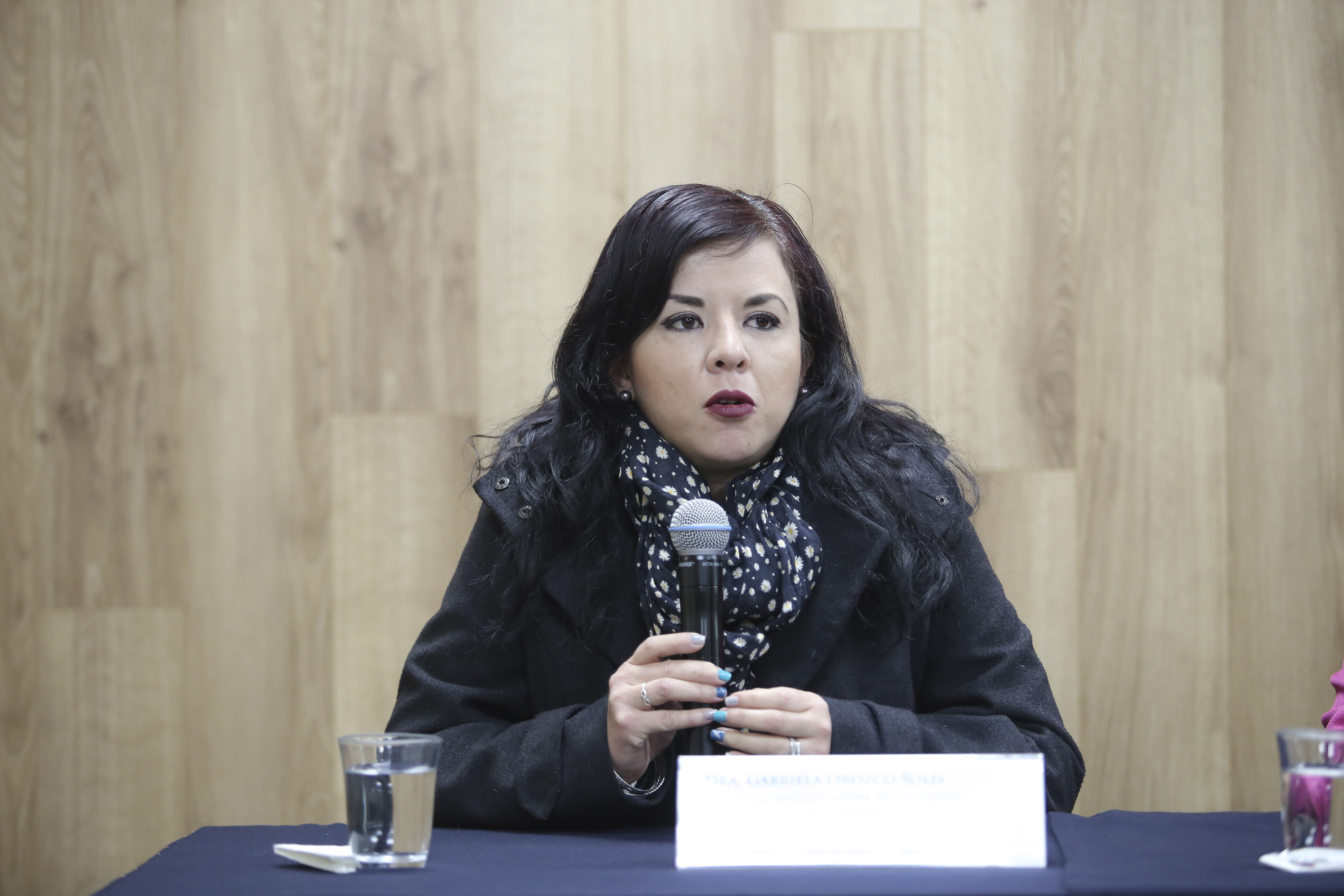 Mtra. Gabriela Orozco exponiendo en rueda de prensa