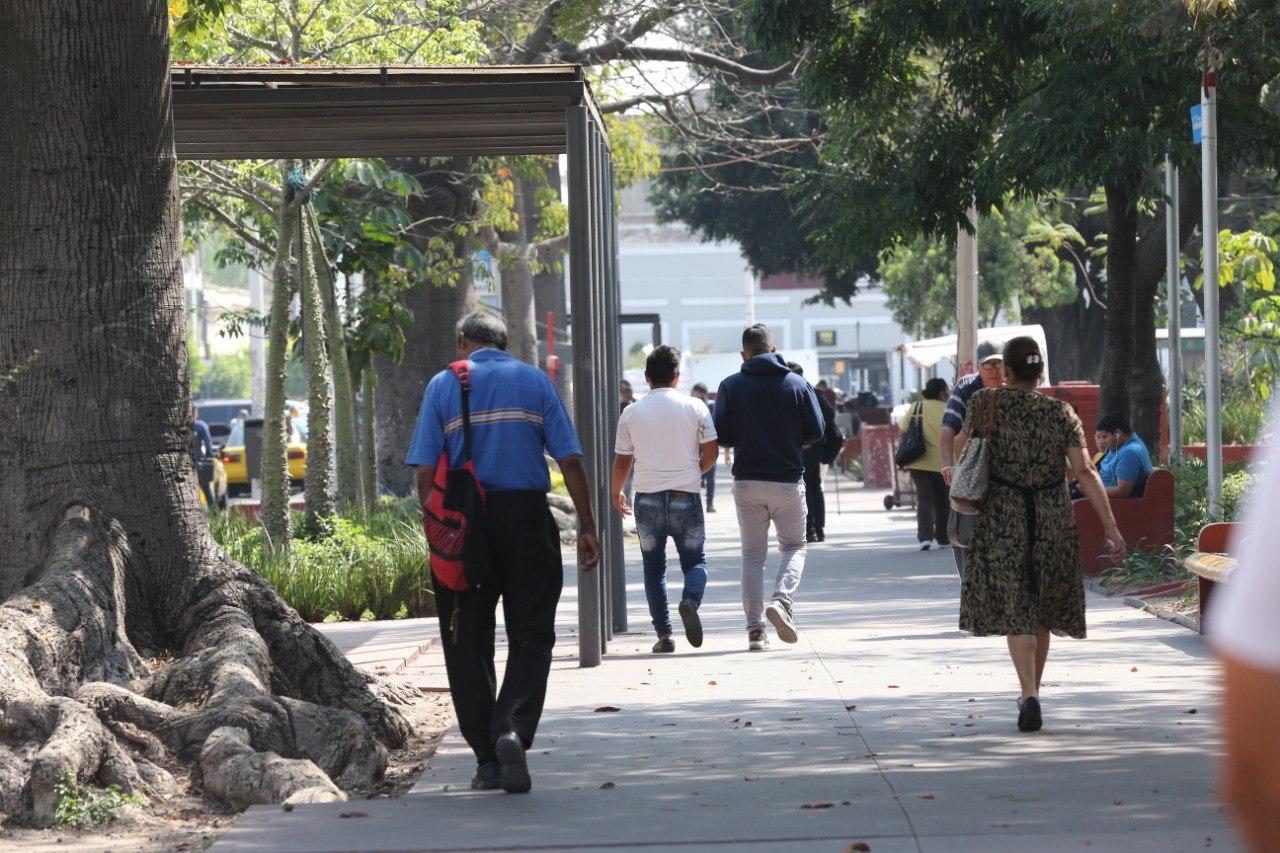 Personas de espaldas caminando por una banqueta en la vía pública