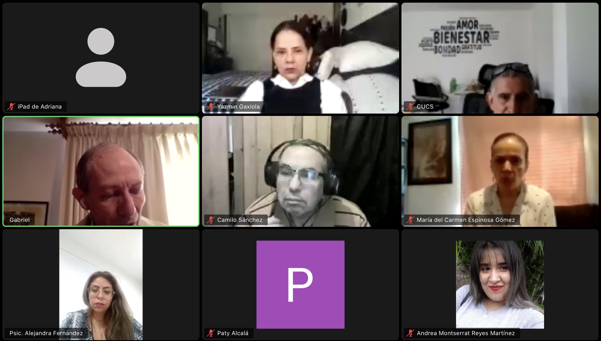 captura de pantalla de Zoom con el rostro de los ponentes participantes