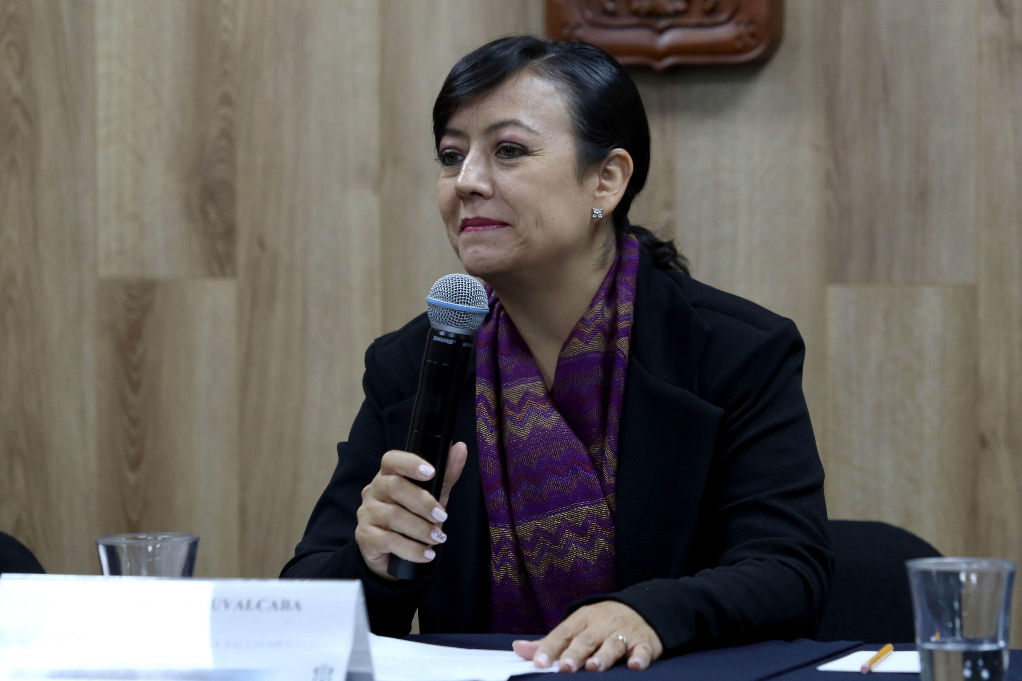 Dra. Norma Rucalcaba al micrófono