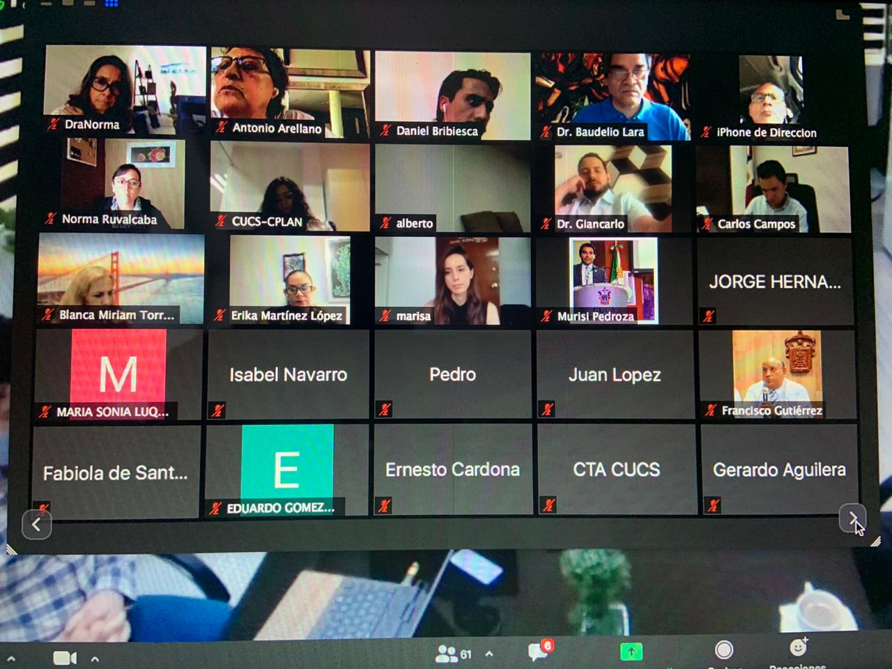 Captura de pantalla con más participantes en reunión virtual