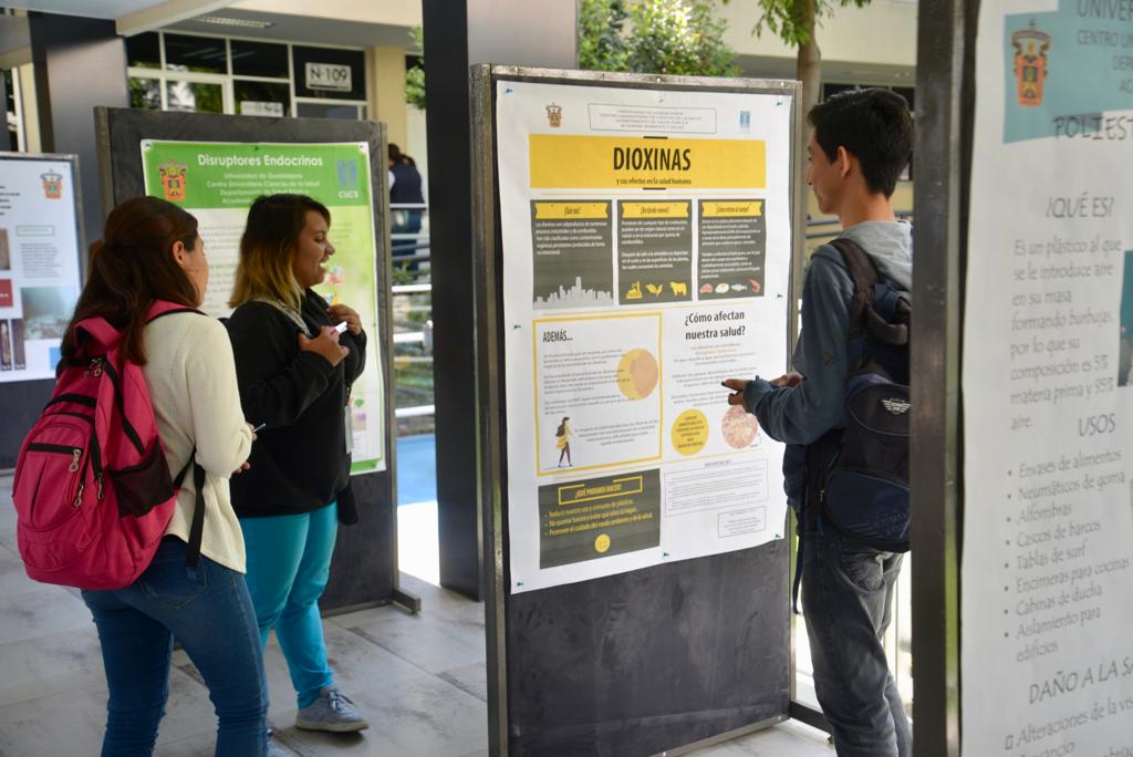 infografía alusiva al tema