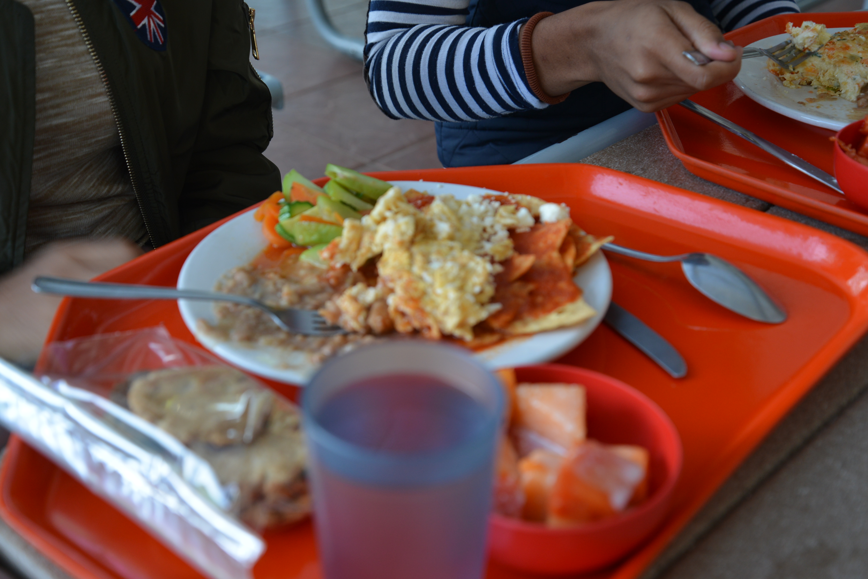 Charola con alimentos en CUCSINE