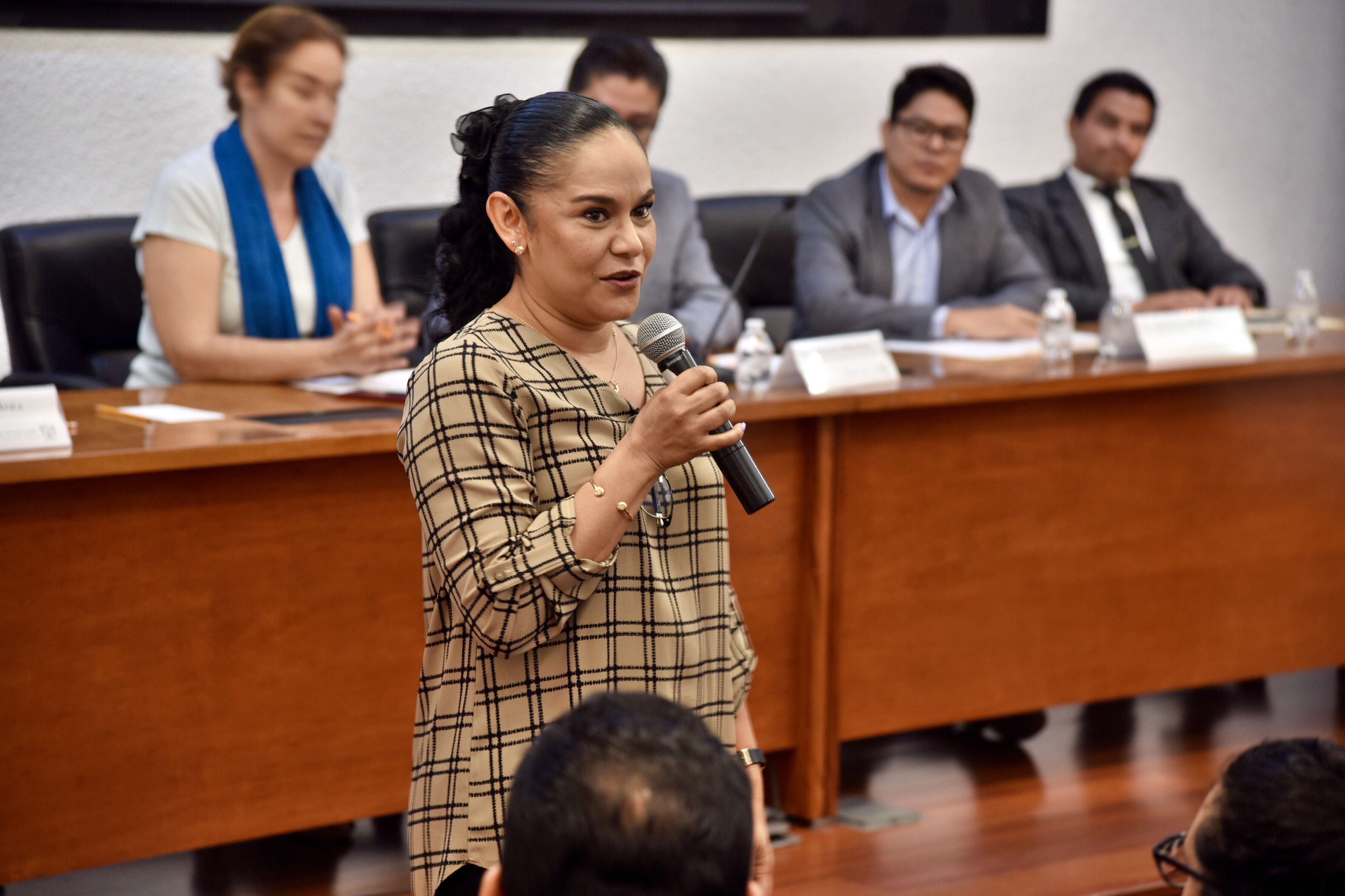 Dra. Érika Martínez haciendo uso de la voz desde su butaca