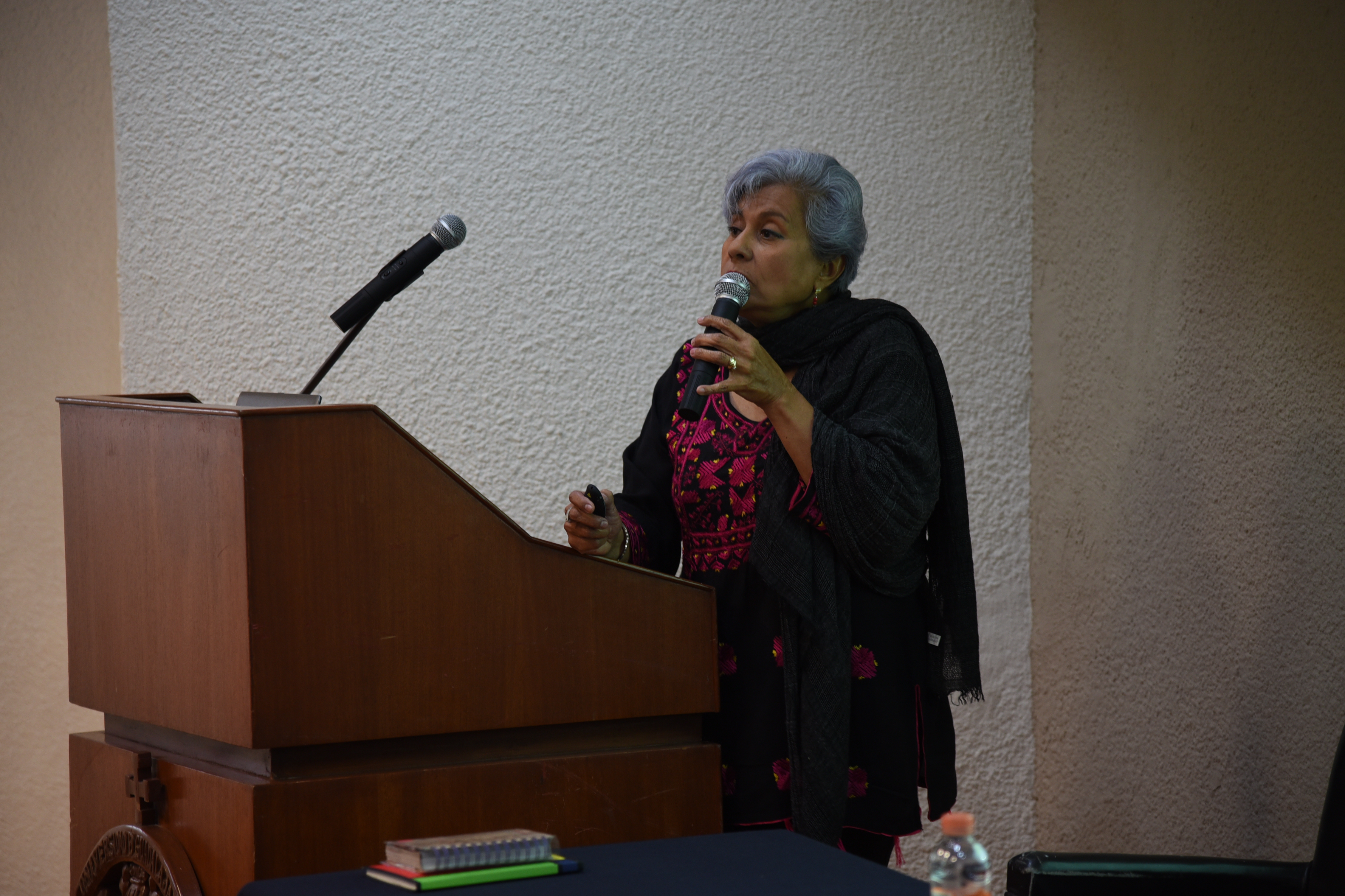 Ponente impartiendo conferencia 