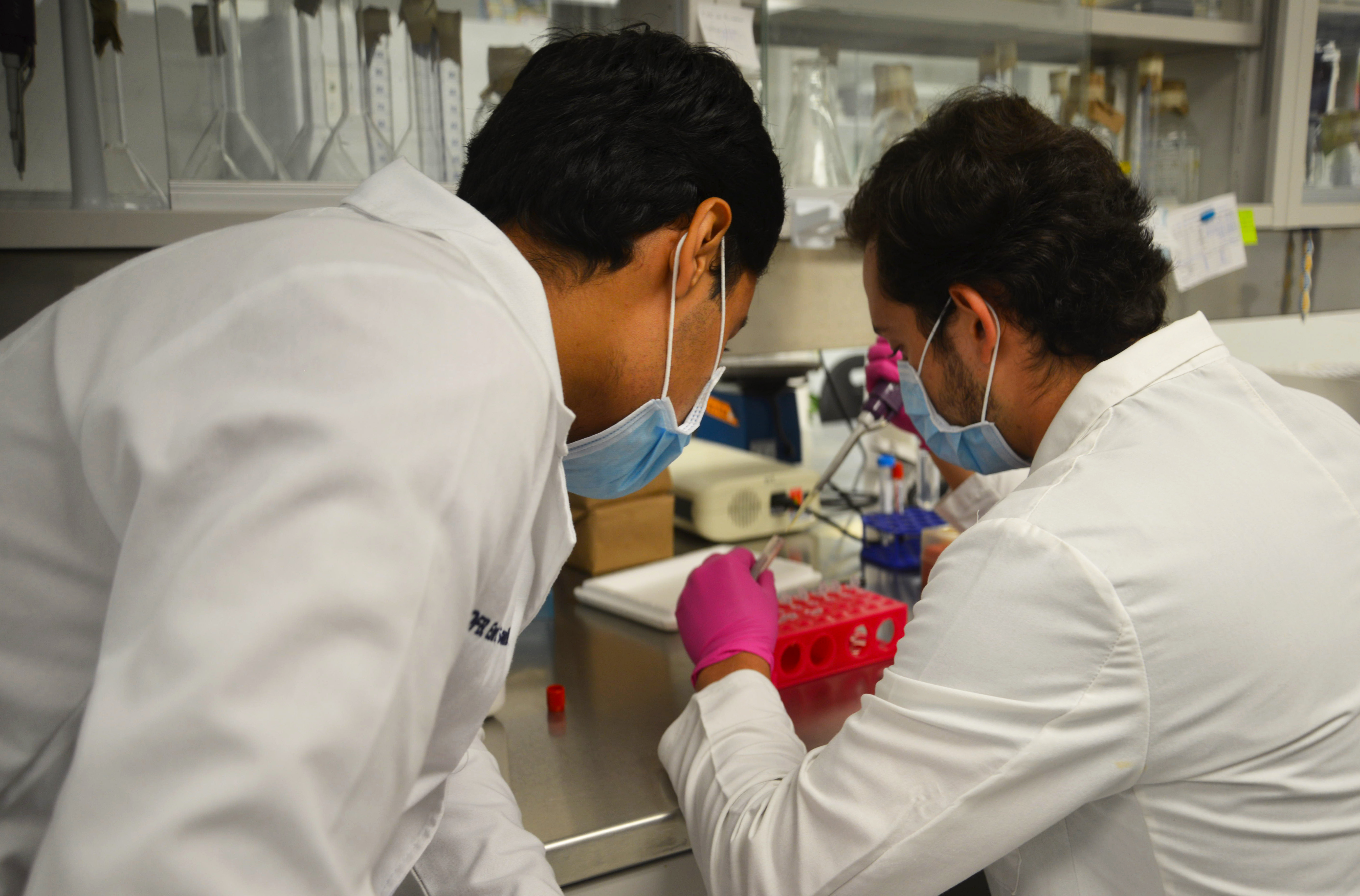 Investigadores en laboratorio realizando un procedimiento