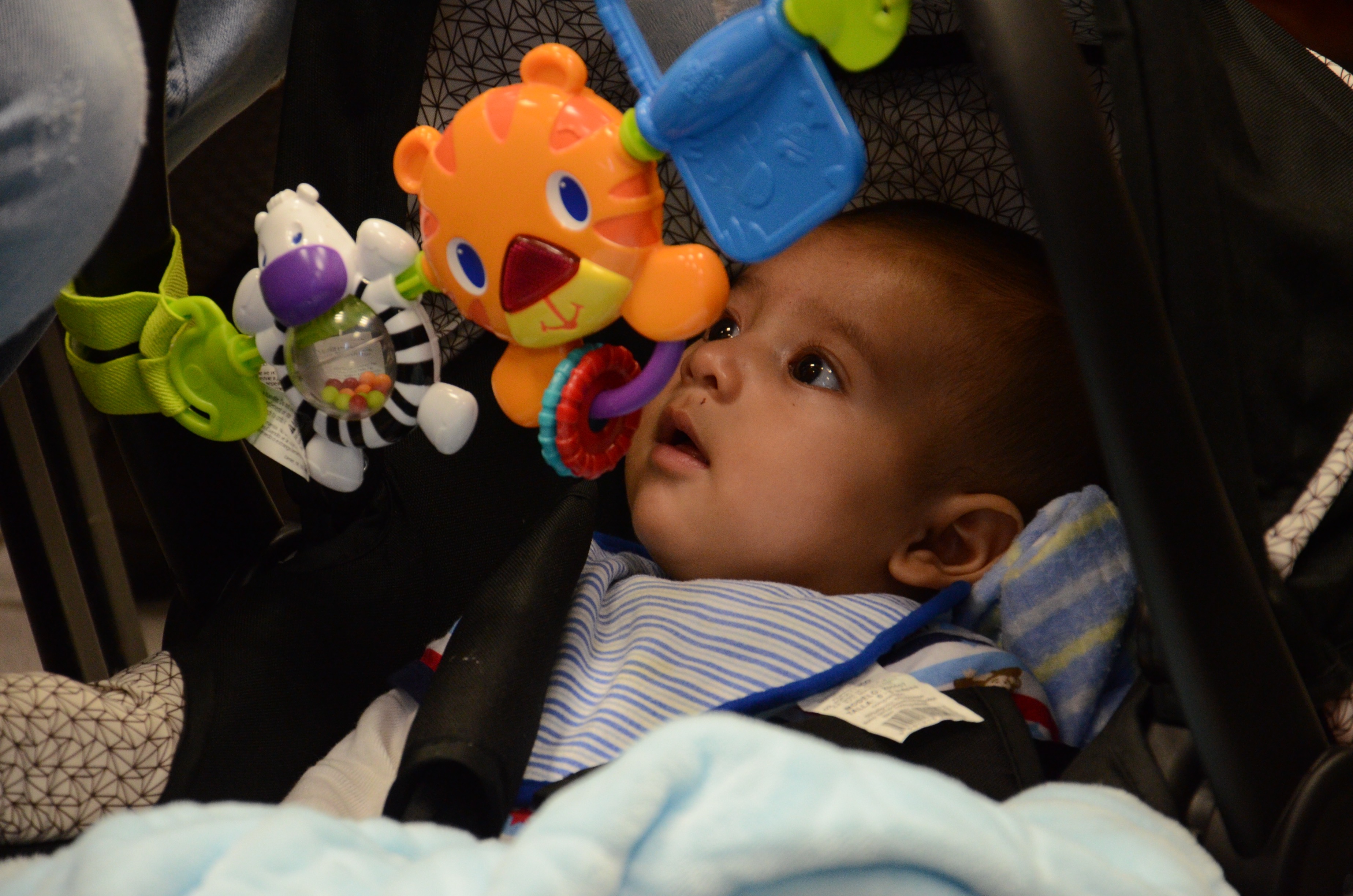Bebé reposando en una carreola