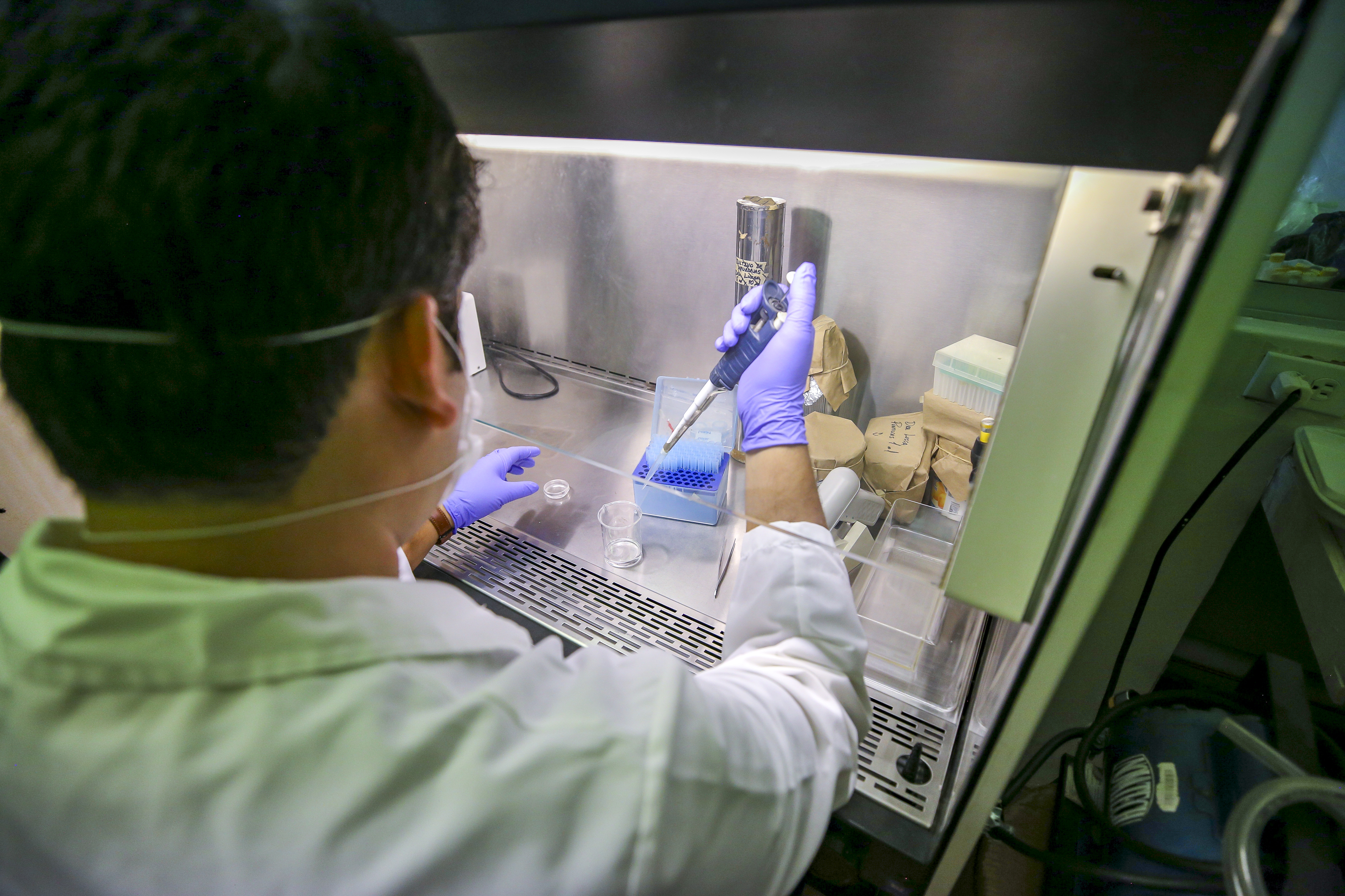 Investigador haciendo maniobras con tubos de ensayo