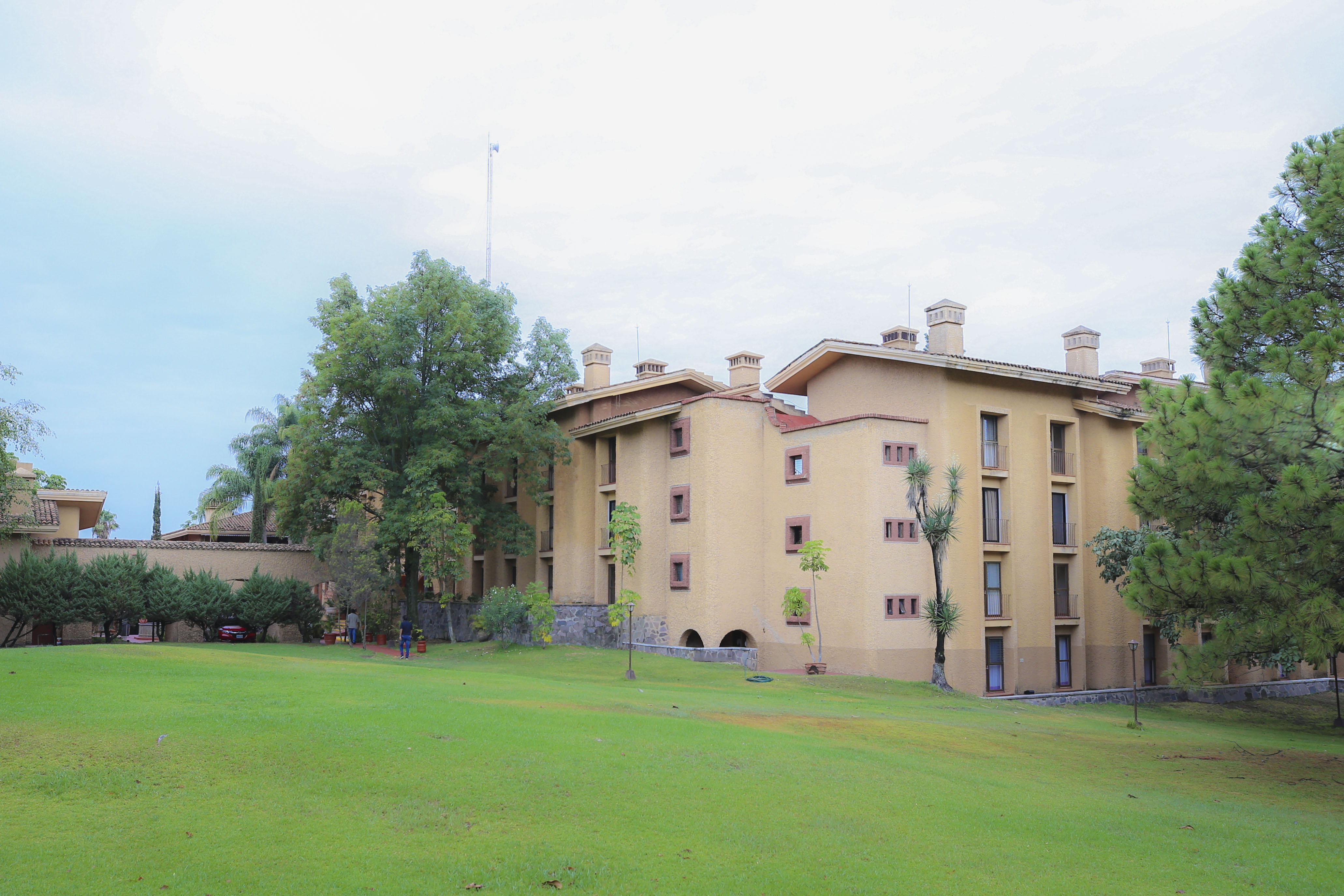 Área de jardín a los alrededores del hotel