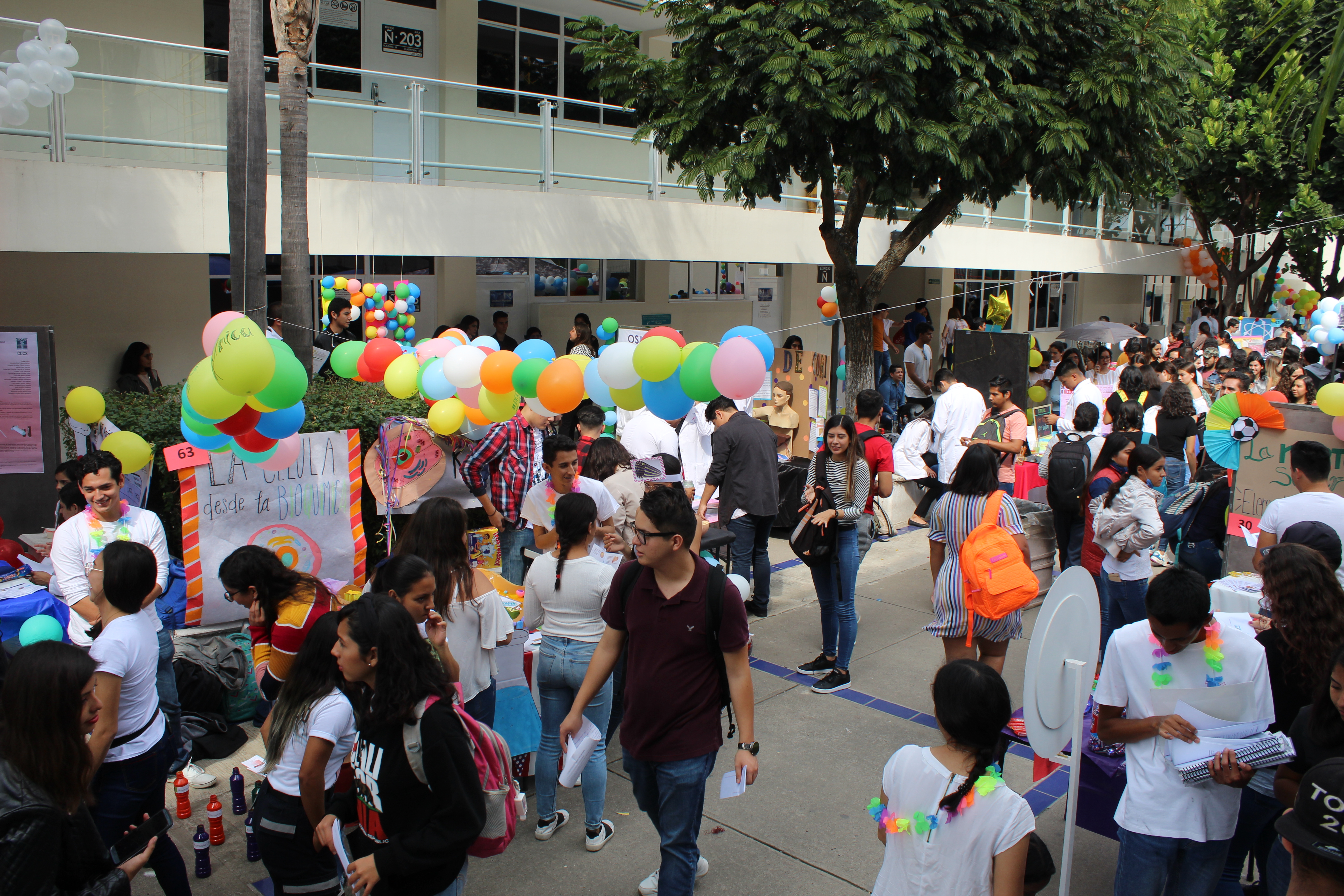 Toma desde lo alto de la Expo
