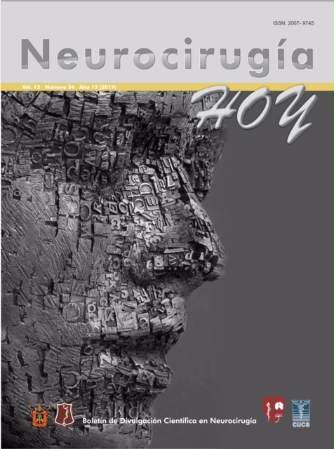 Portada de la revista Neurocirugía Hoy