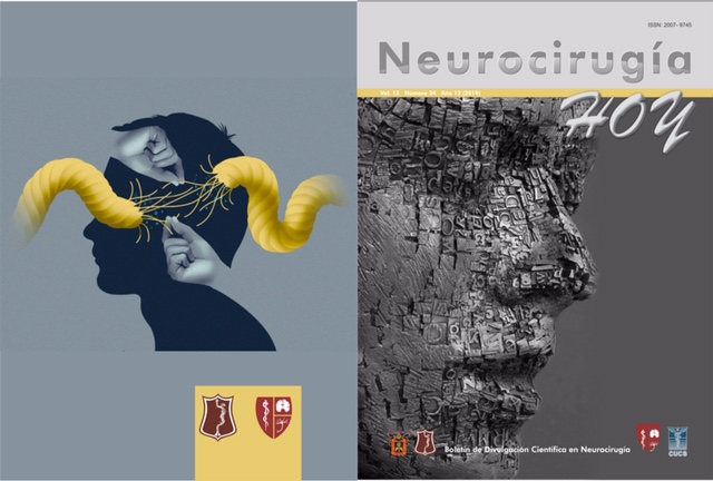 Portada y contraportada de la revista Neurocirugía Hoy