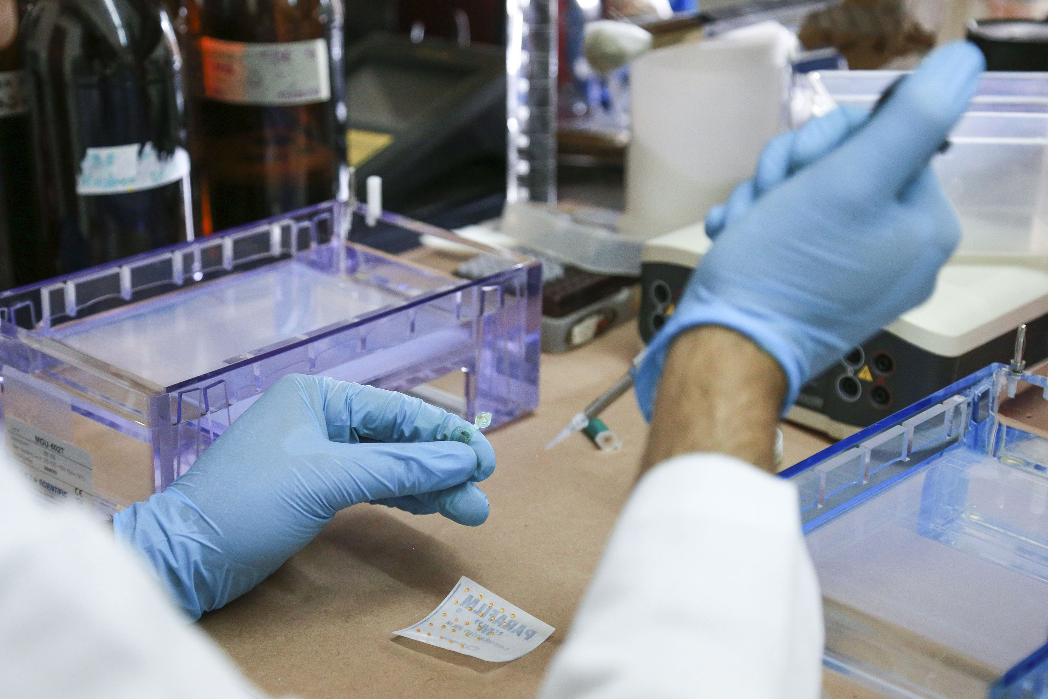 Manos inyectando sustancias en laboratorio