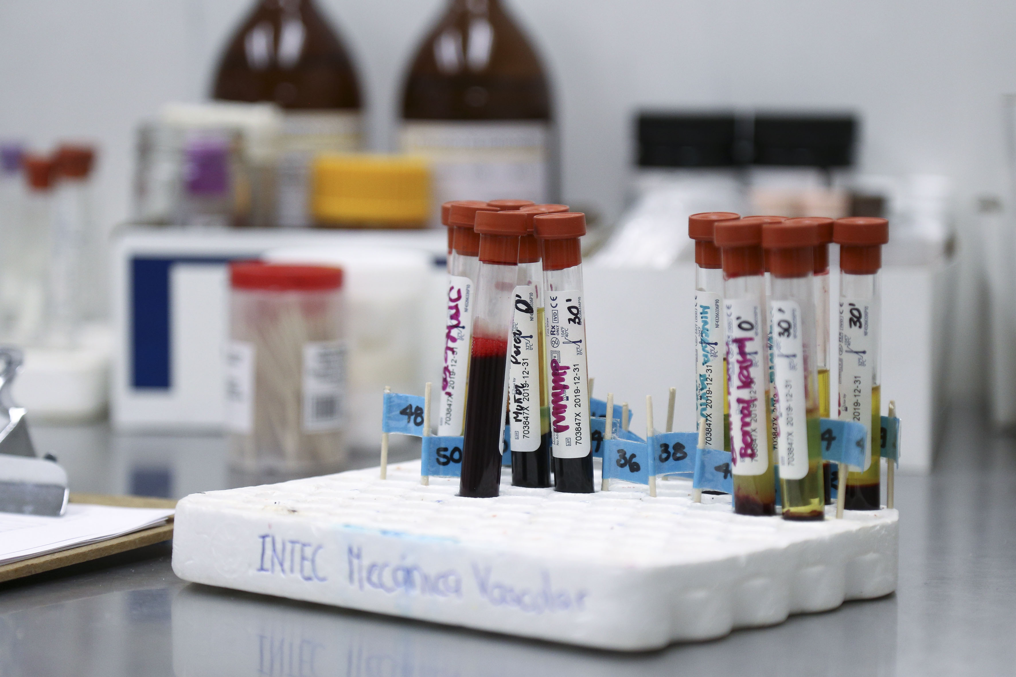 Muestras en tubos de ensayo