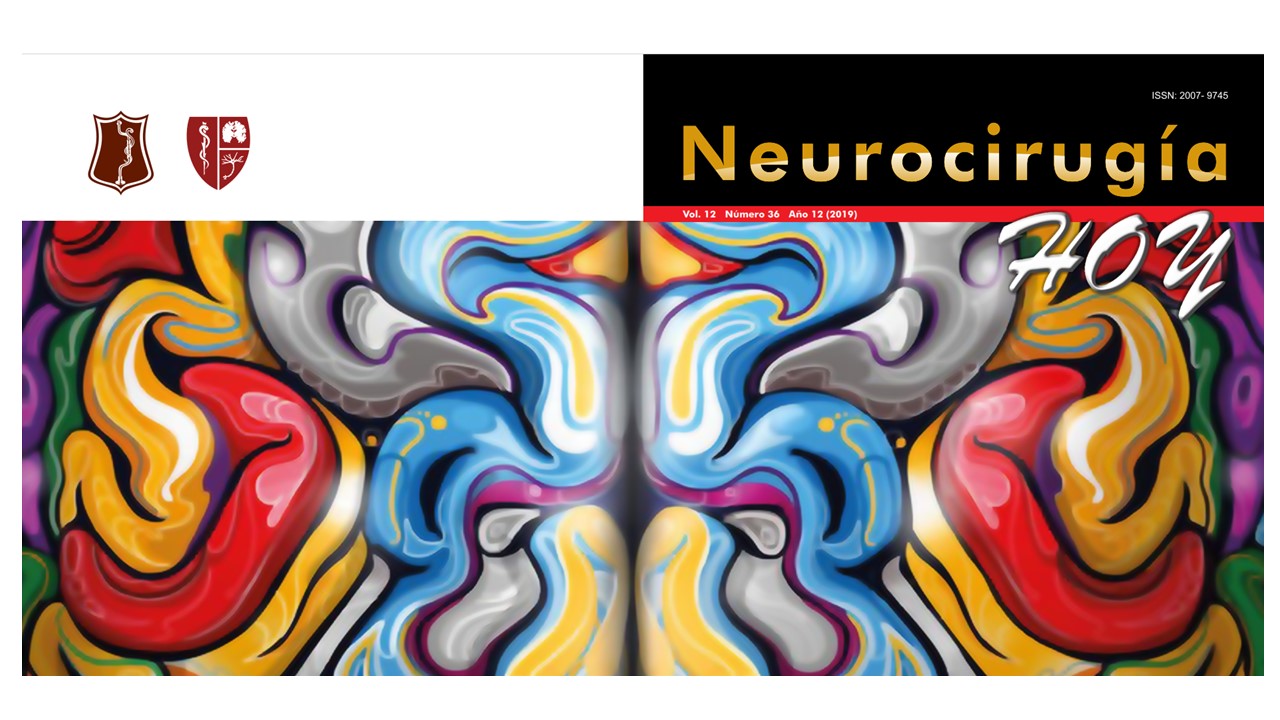 Portada Revista Neurocirugía Hoy