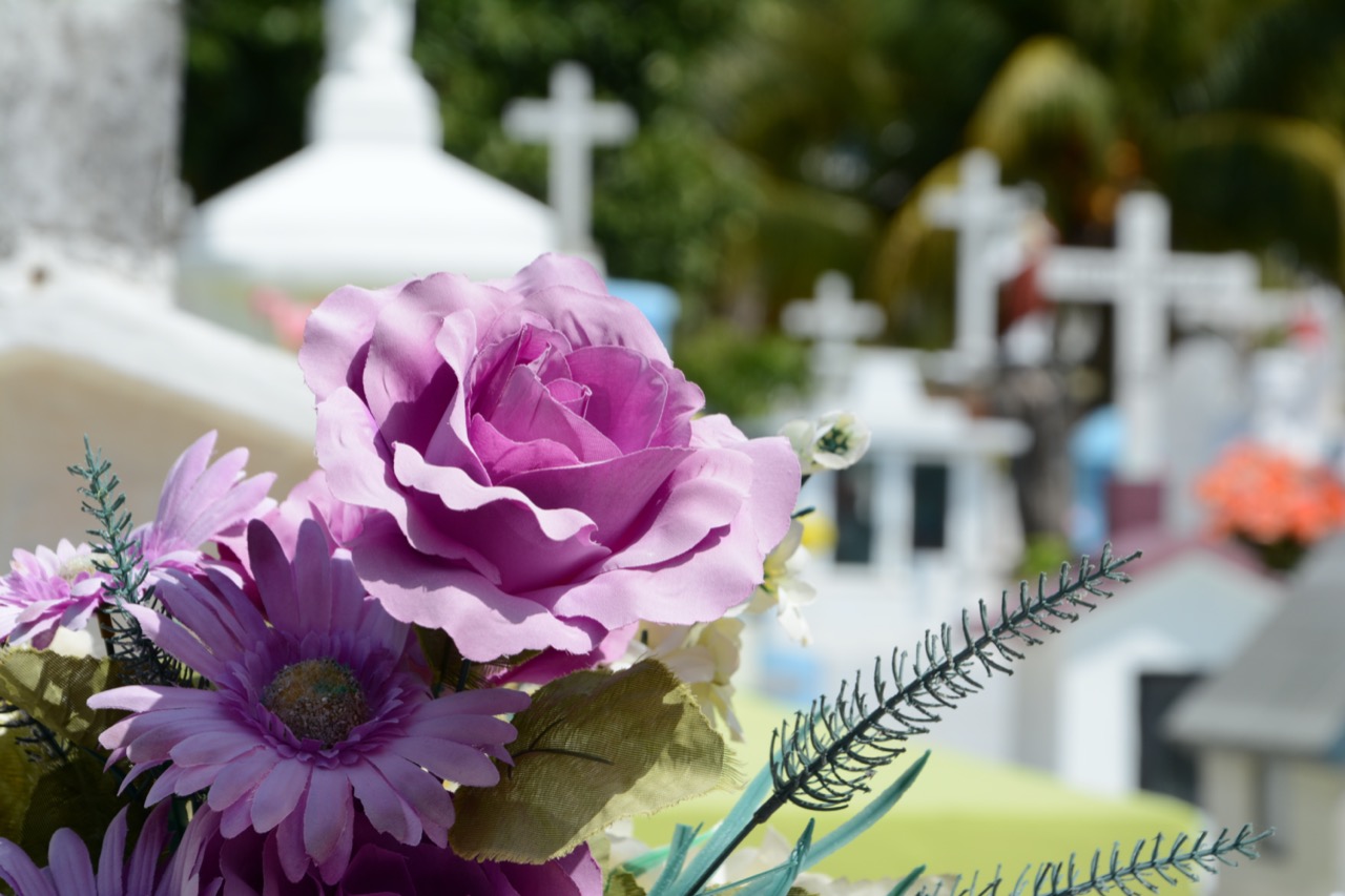 Flores lilas sobre una tumba, al fondo cruces encima de criptas en un panteón
