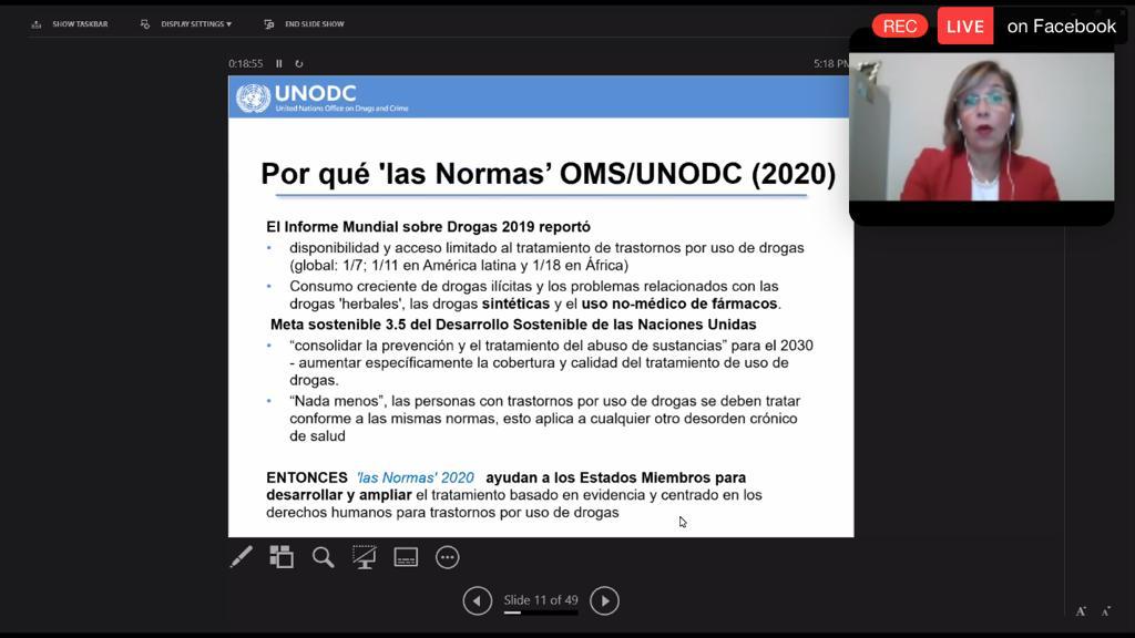 Captura de pantalla de la conferencista, al fondo diapositva titulada Porqué la Normas OMS/UNODC (2020)