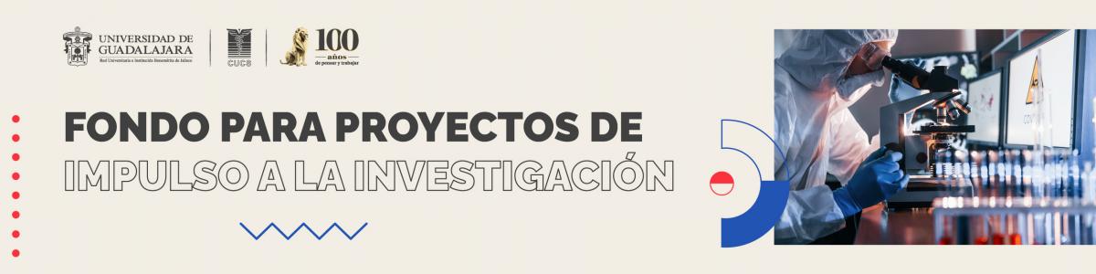 Fondo para Proyectos de Impulso a la investigación