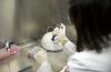 Manos con guantes en el laboratorio