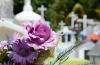 Flores lilas sobre una tumba, al fondo cruces encima de criptas en un panteón