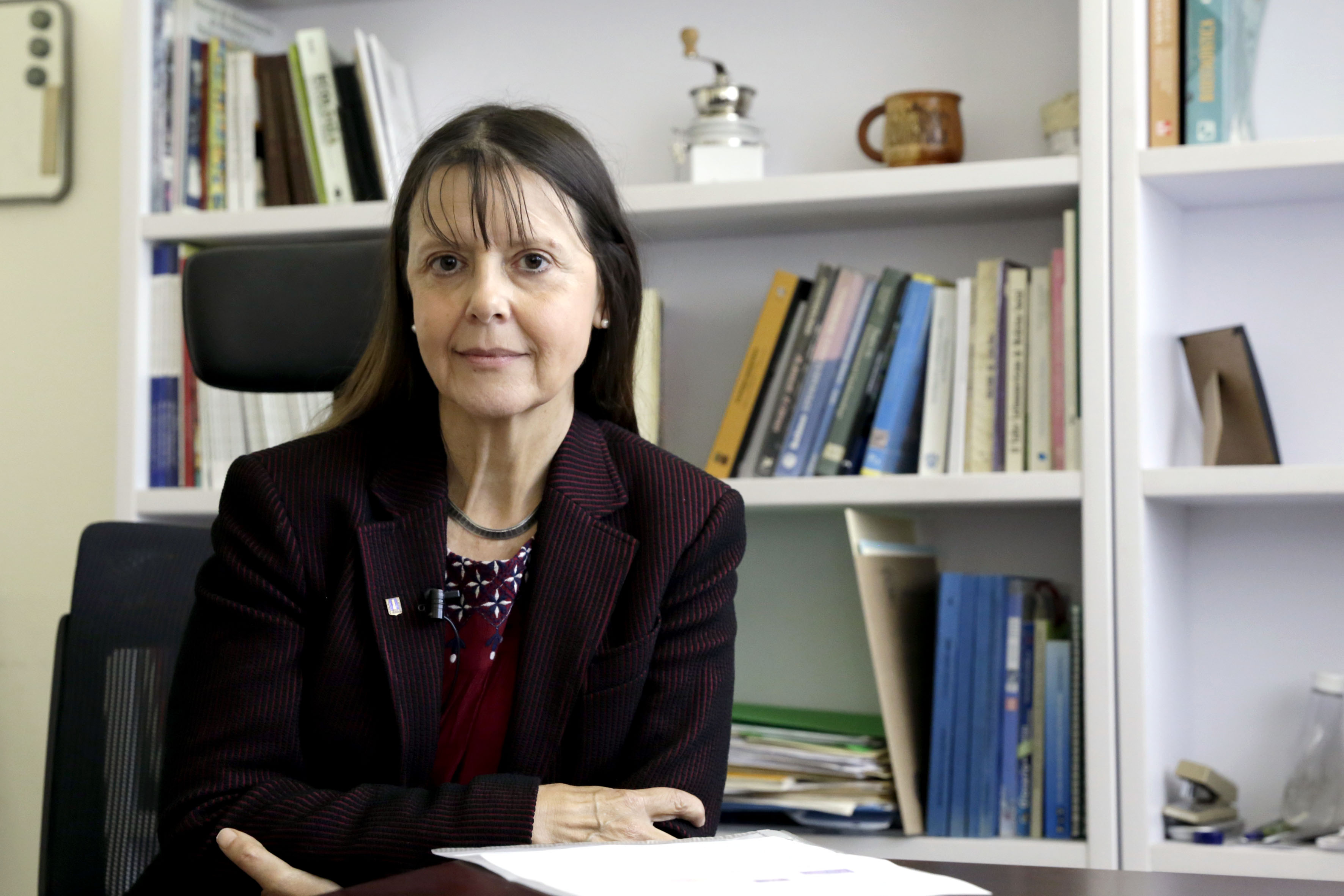 Dra. Teresita Villaseñor, Investigadora